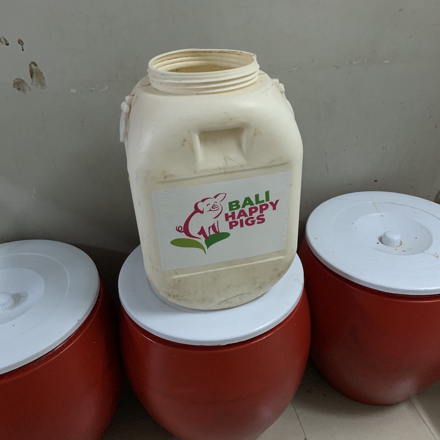 Image 49. White jerrycan labelled Bali Happy Pigs on a red tub