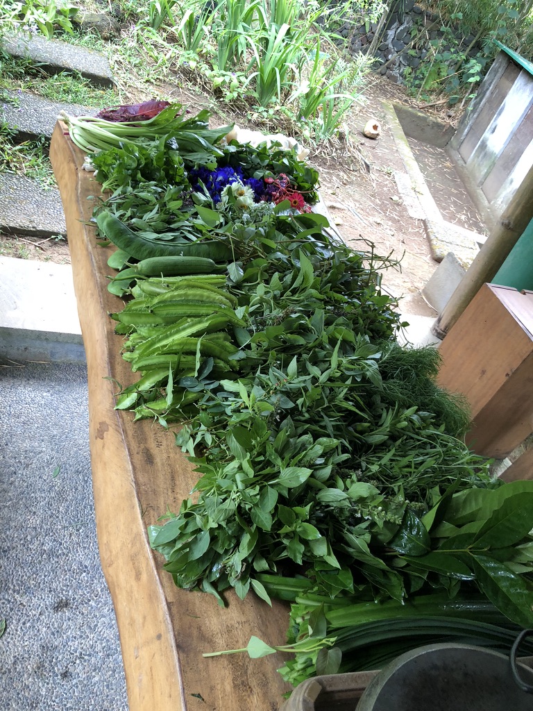 Image 20. Herbs, greens and flowers arranged on a wooden table