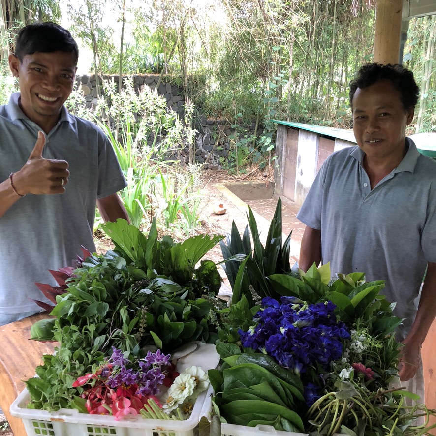 Image 17. Two people with crates of herbs, greens and blue flowers